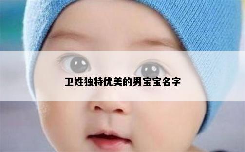 卫姓独特优美的男宝宝名字