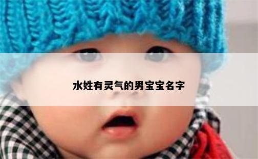 水姓有灵气的男宝宝名字