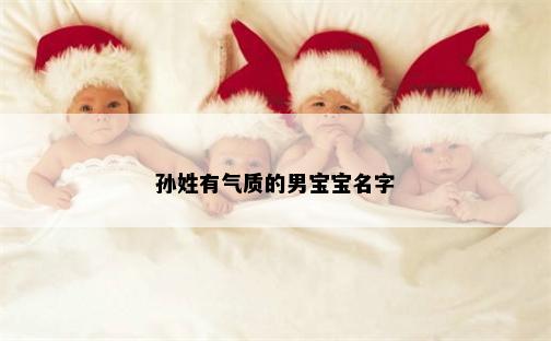 孙姓有气质的男宝宝名字