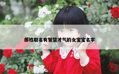 郎姓取名有智慧才气的女宝宝名字