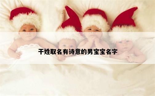 干姓取名有诗意的男宝宝名字