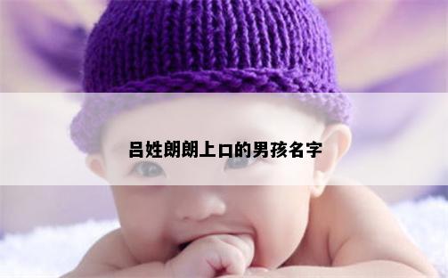 吕姓朗朗上口的男孩名字