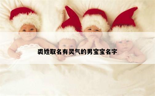 裘姓取名有灵气的男宝宝名字