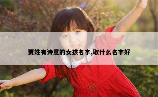 贾姓有诗意的女孩名字,取什么名字好