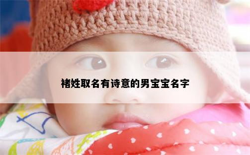 褚姓取名有诗意的男宝宝名字