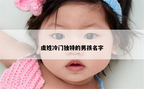 虞姓冷门独特的男孩名字