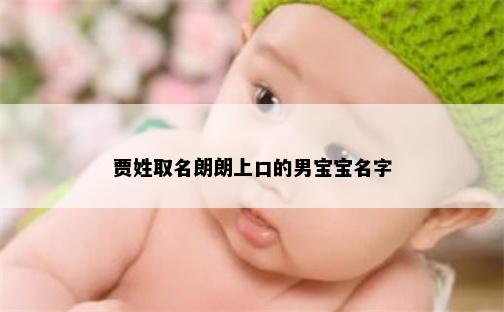 贾姓取名朗朗上口的男宝宝名字