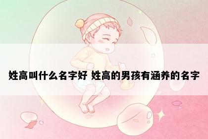 姓高叫什么名字好 姓高的男孩有涵养的名字