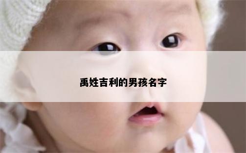 禹姓吉利的男孩名字