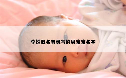 李姓取名有灵气的男宝宝名字