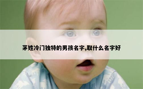 茅姓冷门独特的男孩名字,取什么名字好