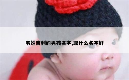 韦姓吉利的男孩名字,取什么名字好