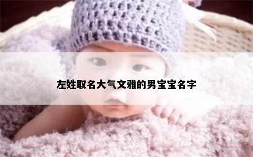 左姓取名大气文雅的男宝宝名字