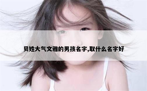 贝姓大气文雅的男孩名字,取什么名字好