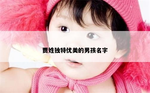 贾姓独特优美的男孩名字