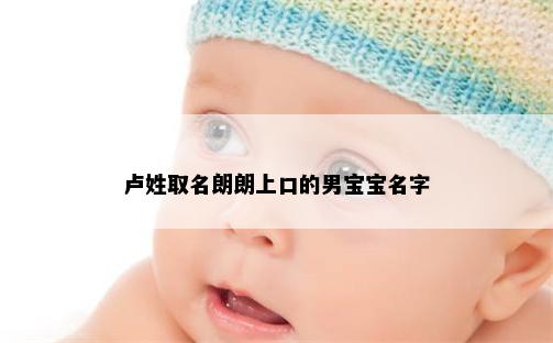 卢姓取名朗朗上口的男宝宝名字