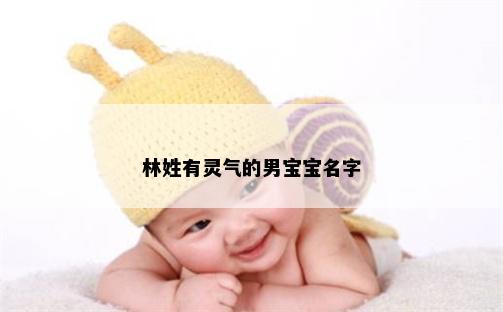 林姓有灵气的男宝宝名字