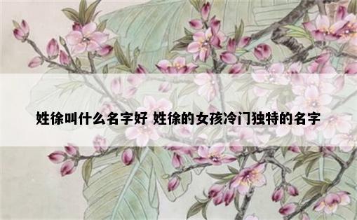 姓徐叫什么名字好 姓徐的女孩冷门独特的名字