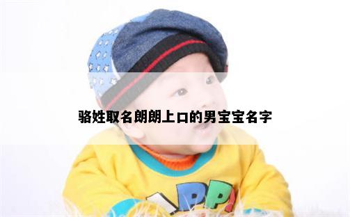 骆姓取名朗朗上口的男宝宝名字