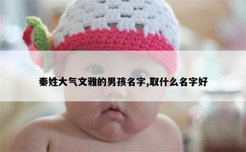 秦姓大气文雅的男孩名字,取什么名字好