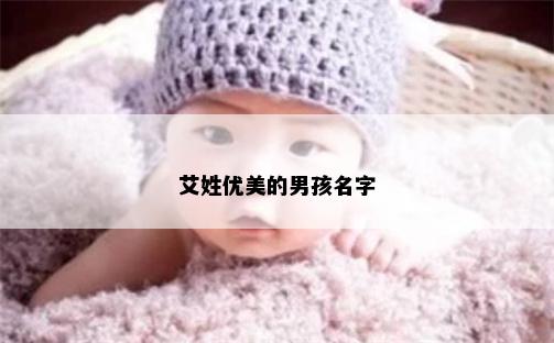 艾姓优美的男孩名字