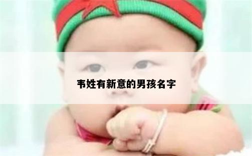 韦姓有新意的男孩名字
