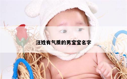 汪姓有气质的男宝宝名字