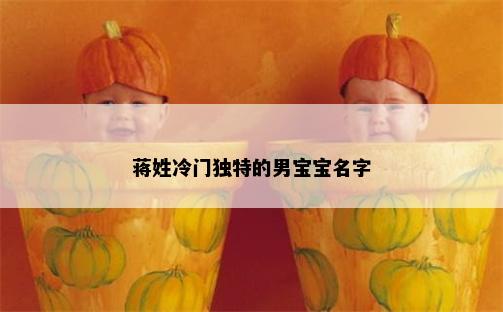 蒋姓冷门独特的男宝宝名字