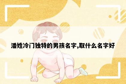 潘姓冷门独特的男孩名字,取什么名字好