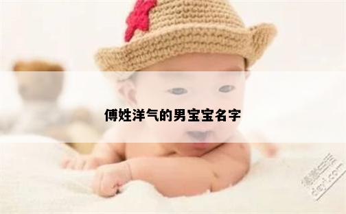傅姓洋气的男宝宝名字