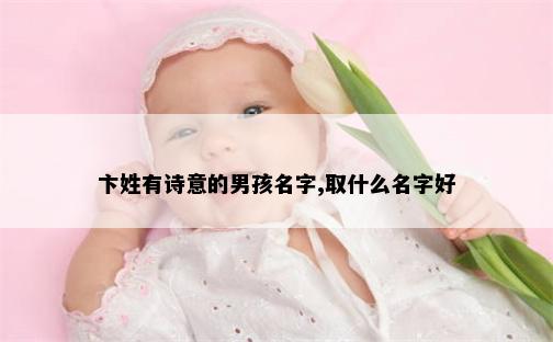 卞姓有诗意的男孩名字,取什么名字好