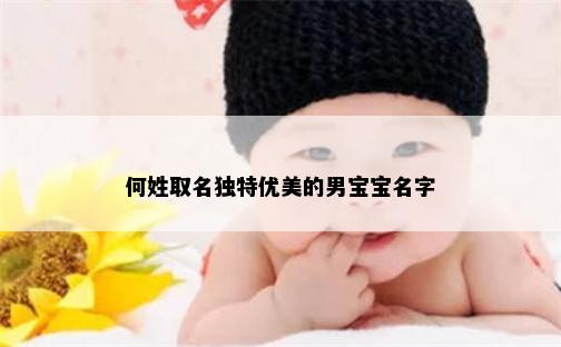 何姓取名独特优美的男宝宝名字