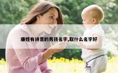 廉姓有诗意的男孩名字,取什么名字好