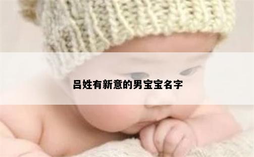 吕姓有新意的男宝宝名字