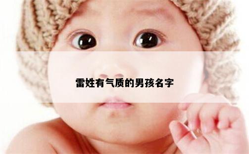 雷姓有气质的男孩名字
