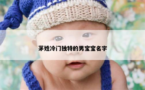茅姓冷门独特的男宝宝名字