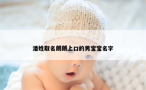 潘姓取名朗朗上口的男宝宝名字