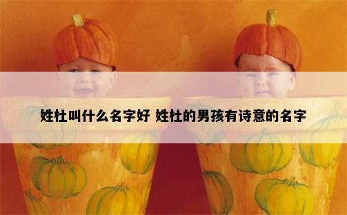 姓杜叫什么名字好 姓杜的男孩有诗意的名字