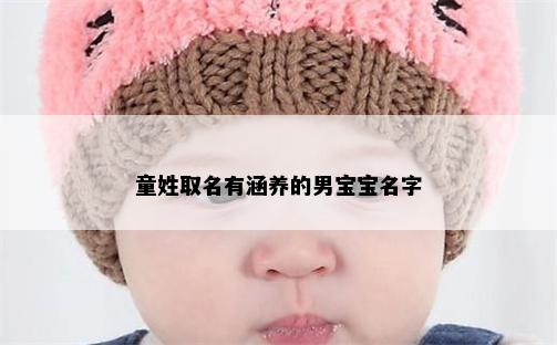 童姓取名有涵养的男宝宝名字