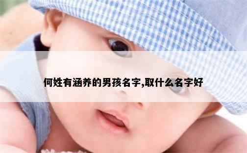 何姓有涵养的男孩名字,取什么名字好